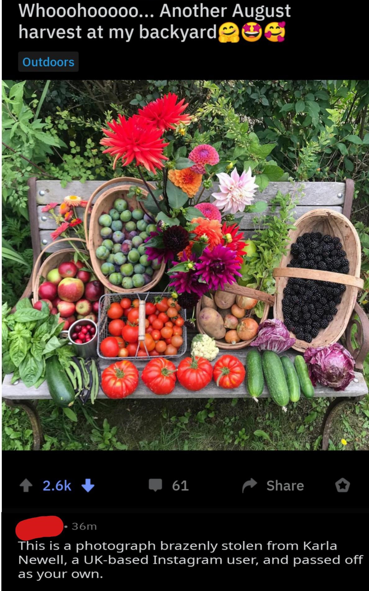 natural foods - Whooohooooo... Another August harvest at my backyardeur Outdoors 36m This is a photograph brazenly stolen from Karla Newell, a Ukbased Instagram user, and passed off as your own.