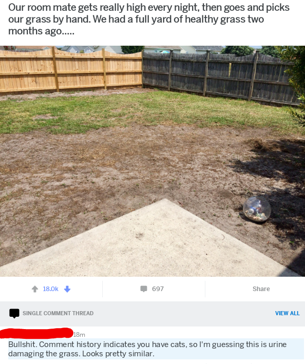 yard - Our room mate gets really high every night, then goes and picks our grass by hand. We had a full yard of healthy grass two months ago..... Ib.Ok 697 Single Comment Thread View All Bullshit. Comment history indicates you have cats, so I'm guessing t