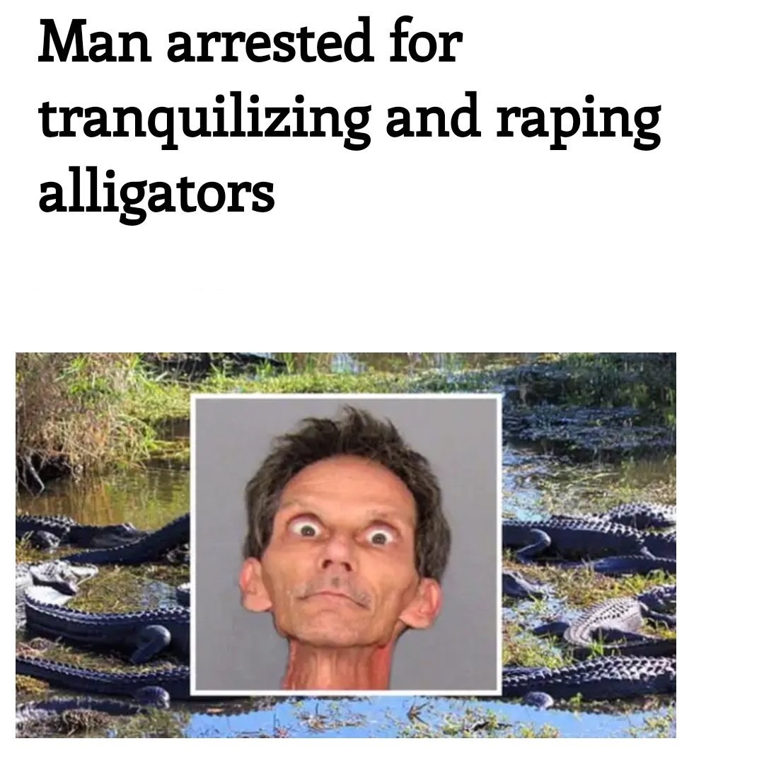 florida man arrested for raping alligators - Man arrested for tranq...