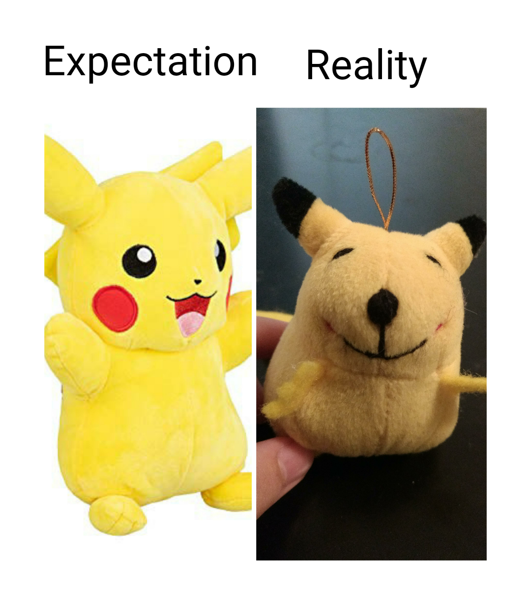 pokemon plush - Expectation Reality