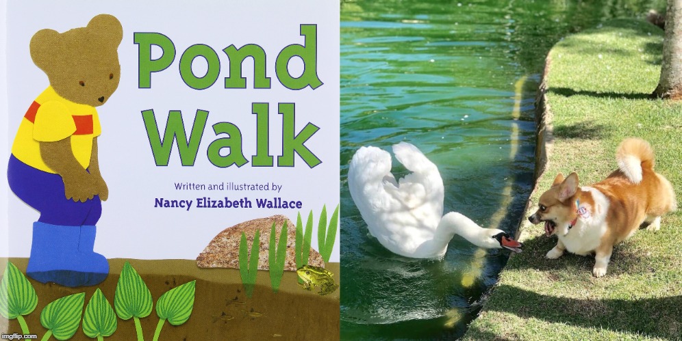 swan dog - Pond Walk Written and illustrated by Nancy Elizabeth Wallace imgflip.com