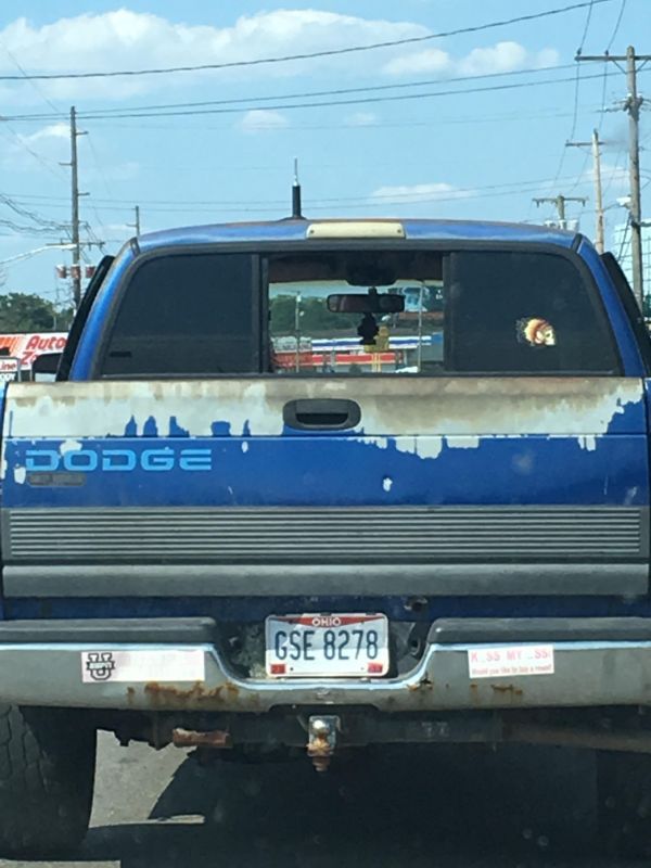 The paint chipping on this truck looks like a skyline.