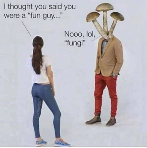 no lol fungi - I thought you said you were a "fun guy...' Nooo, lol, "fungi"