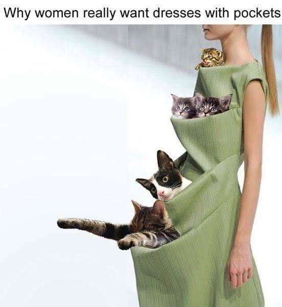 dress with pockets for cats - Why women really want dresses with pockets