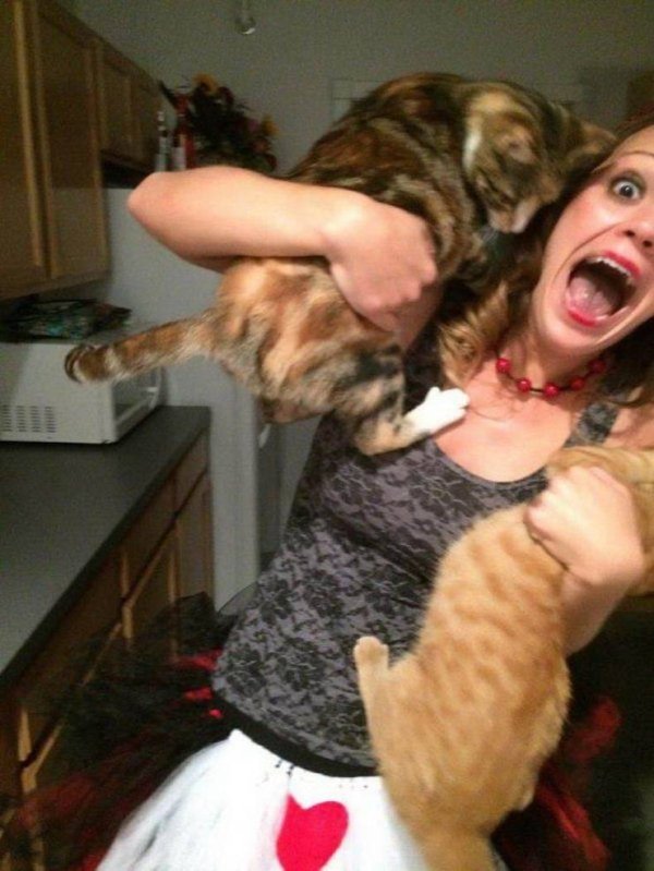 25 Times things escalated quickly.