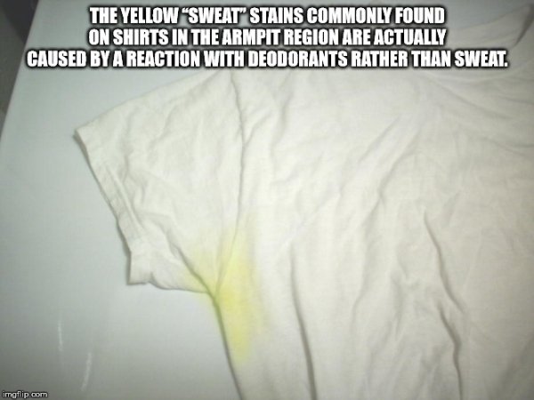dan dinh - The Yellow Sweat" Stains Commonly Found On Shirts In The Armpit Region Are Actually Caused By A Reaction With Deodorants Rather Than Sweat. imgflip.com