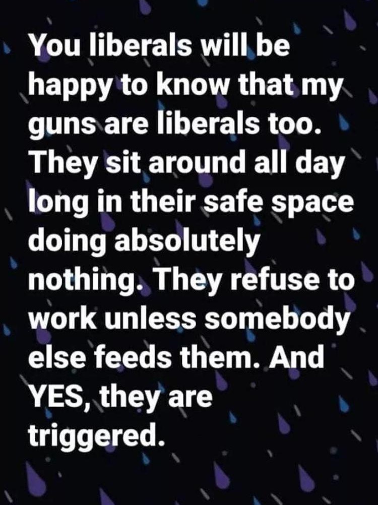 You liberals will be happy to know that my guns are liberals too. They sit around all day long in their safe space doing absolutely . nothing. They refuse to work unless somebody else feeds them. And Yes, they are triggered.