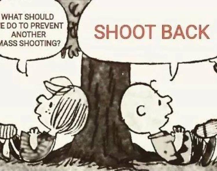 us mass shooting memes - What Should We Do To Prevent Another Mass Shooting? Shoot Back