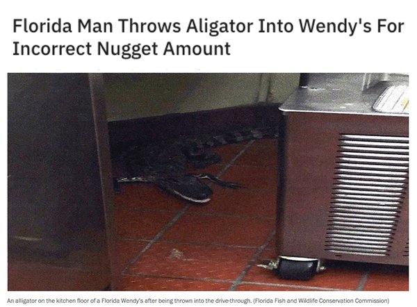 floor - Florida Man Throws Aligator Into Wendy's For Incorrect Nugget Amount An alligator on the kitchen floor of a Florida Wendy's after being thrown into the drive through Florida Fish and Wildlife Conservation Commission