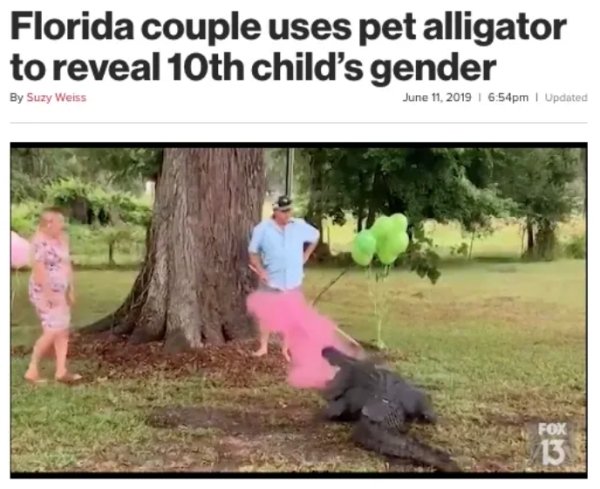 tree - Florida couple uses pet alligator to reveal 10th child's gender By Suzy Weiss pm | Updated