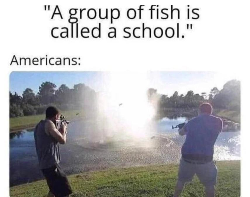 group of fish is called a school meme - A group of fish is called a school. Americans