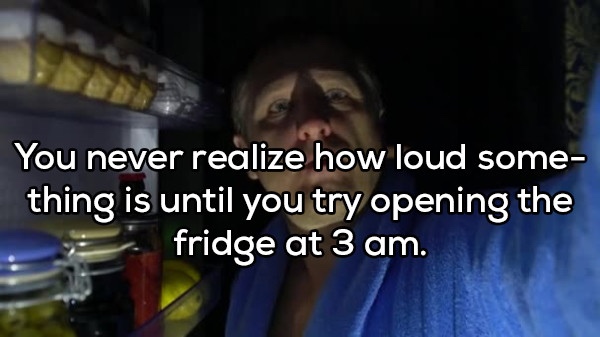 alcohol - You never realize how loud some thing is until you try opening the fridge at 3 am.