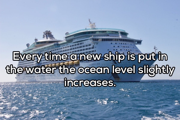 cruise skip - Every time a new ship is put in the water the ocean level slightly increases.