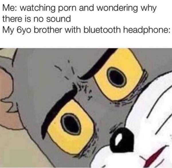 everyone disliked that memes - Me watching porn and wondering why there is no sound My 6yo brother with bluetooth headphone