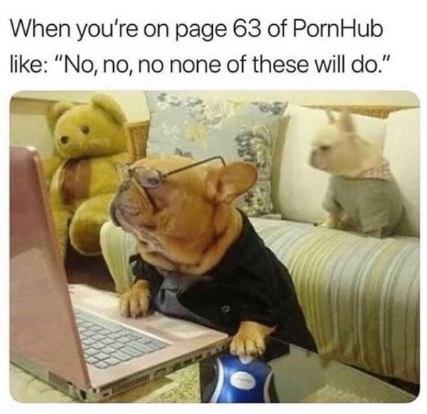 meredith how do i open a new tab - When you're on page 63 of PornHub "]No, no, no none of these will do.