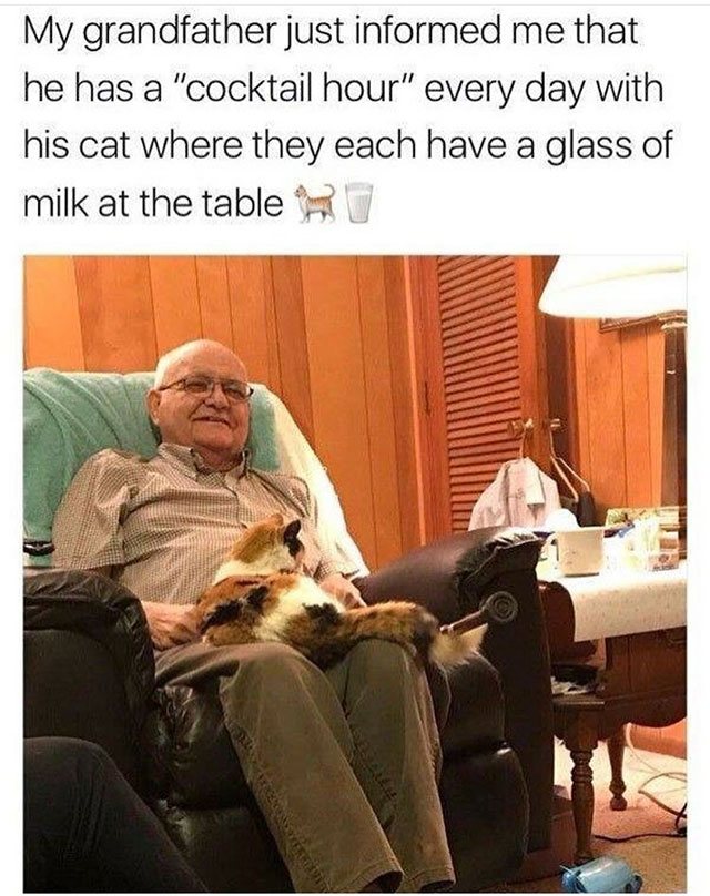 funny memes i look at with my grandpa - My grandfather just informed me that he has a "cocktail hour" every day with his cat where they each have a glass of milk at the table