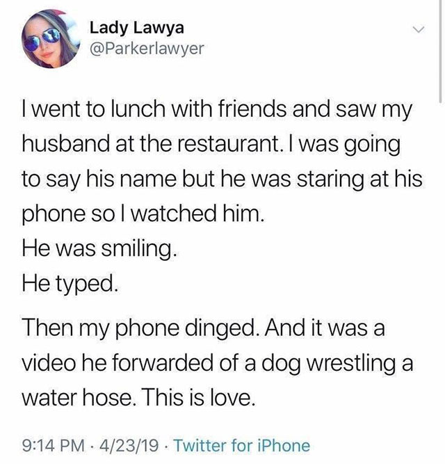 Lady Lawya I went to lunch with friends and saw my husband at the restaurant. I was going to say his name but he was staring at his phone so I watched him. He was smiling. He typed. Then my phone dinged. And it was a video he forwarded of a dog wrestling 