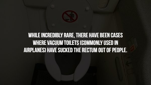 angle - While Incredibly Rare, There Have Been Cases Where Vacuum Toilets Commonly Used In Airplanes Have Sucked The Rectum Out Of People.