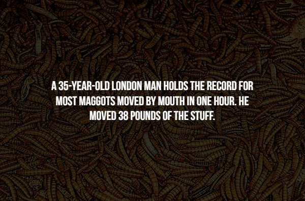 pattern - A 35YearOld London Man Holds The Record For Most Maggots Moved By Mouth In One Hour. He Moved 38 Pounds Of The Stuff.