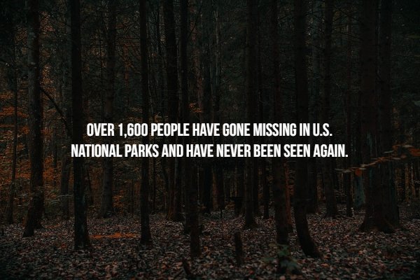 nature - Over 1,600 People Have Gone Missing In U.S. National Parks And Have Never Been Seen Again