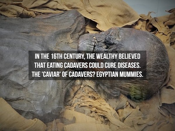 egyptian mummies in british museum - In The 16TH Century, The Wealthy Believed That Eating Cadavers Could Cure Diseases. The "Caviar' Of Cadavers? Egyptian Mummies.