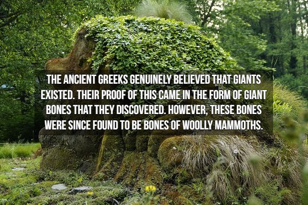 Troll - The Ancient Greeks Genuinely Believed That Giants Existed. Their Proof Of This Came In The Form Of Giant Bones That They Discovered. However, These Bones Were Since Found To Be Bones Of Woolly Mammoths.