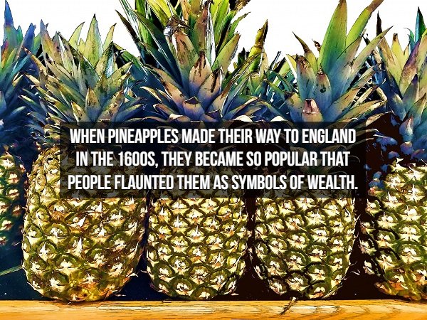 pineapple - When Pineapples Made Their Way To England In The 1600S. They Became So Popular That People Flaunted Them As Symbols Of Wealth.