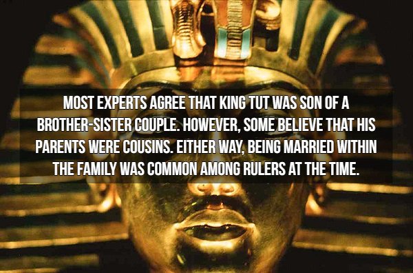 egypt tutankhamun - Most Experts Agree That King Tut Was Son Of A BrotherSister Couple. However, Some Believe That His Parents Were Cousins. Either Way, Being Married Within The Family Was Common Among Rulers At The Time.