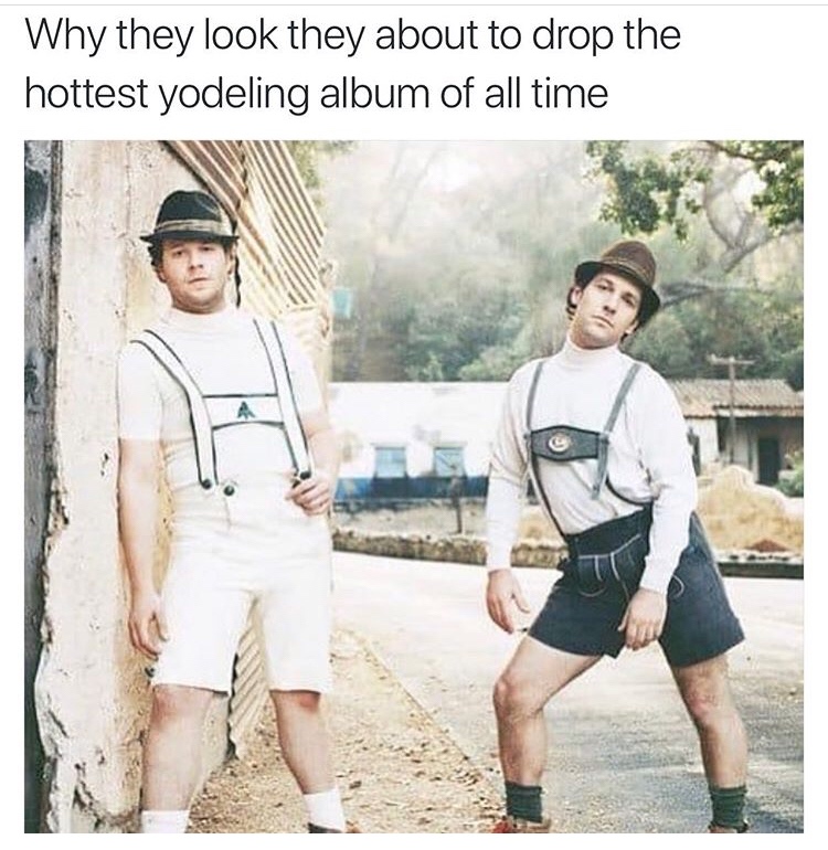 seth rogen and paul rudd - Why they look they about to drop the hottest yodeling album of all time