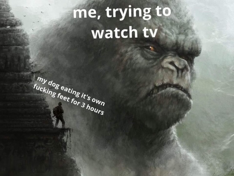 me trying to watch tv - me, trying to watch tv my dog eating it's own fucking feet for 3 hours