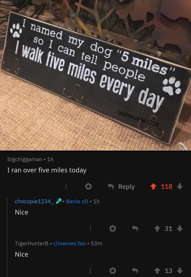 named my dog 5 miles so I can tell people I walk five miles every day uchocopie1234 bigchiggaman. 1h I ran over five miles today 118 . Benis xD 1h chocopie1234_ Nice 4 31 TigerHunterBrmemes fan 53m Nice 5 13