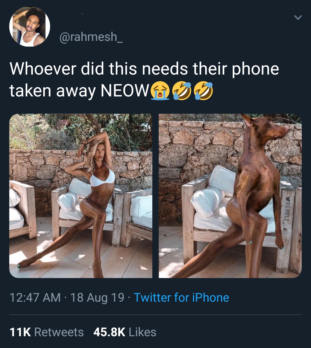 sitting - Whoever did this needs their phone taken away Neowodo 18 Aug 19. Twitter for iPhone 11K