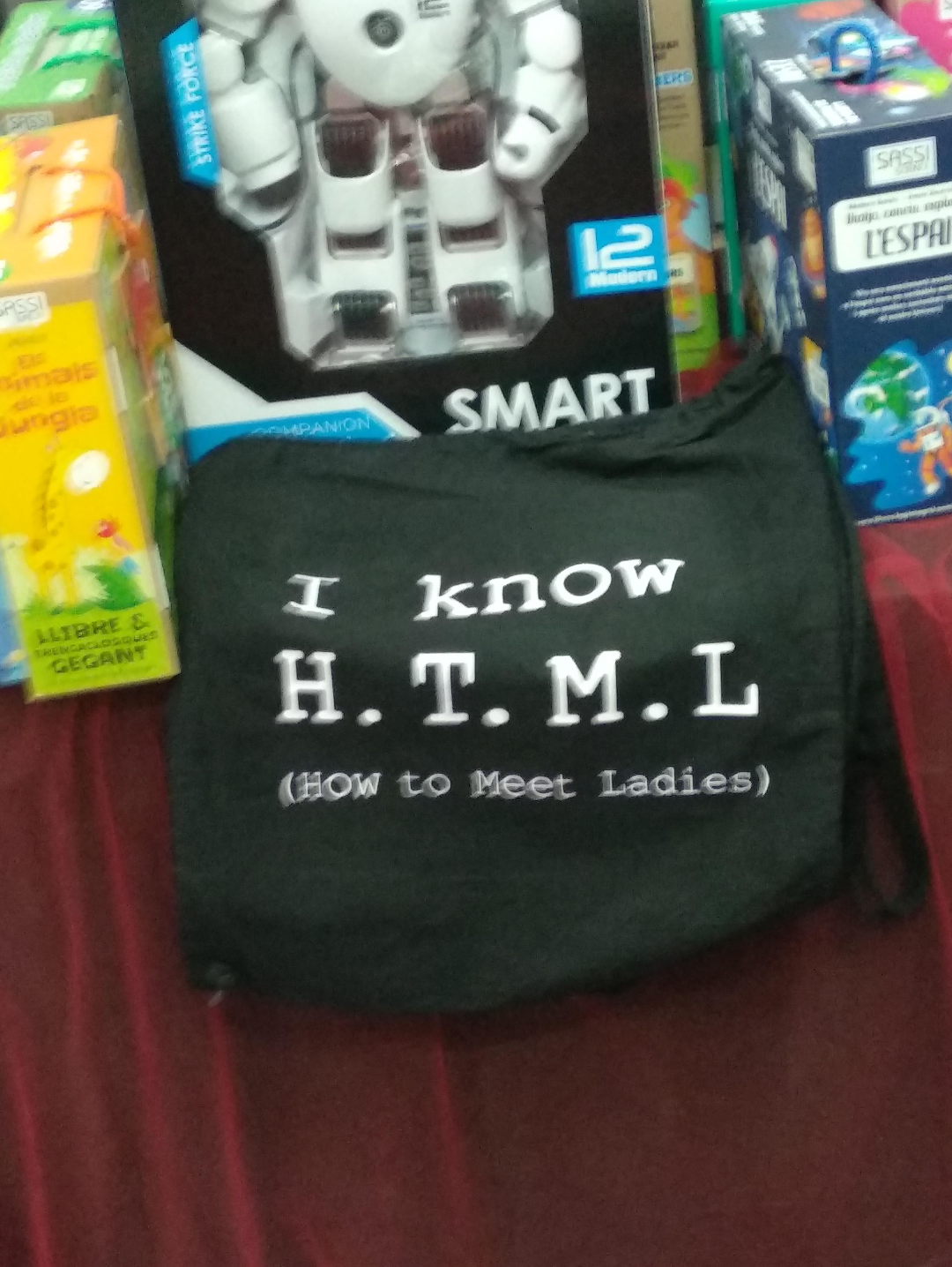 I know H.T.M.L How to Meet Ladies