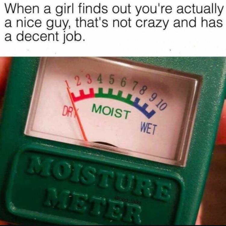 moisture meter meme - When a girl finds out you're actually a nice guy, that's not crazy and has a decent job. 2 3 4 5 6 7 6 7 8 9 10 Drk Mois Moist Wet Moisture Dieter