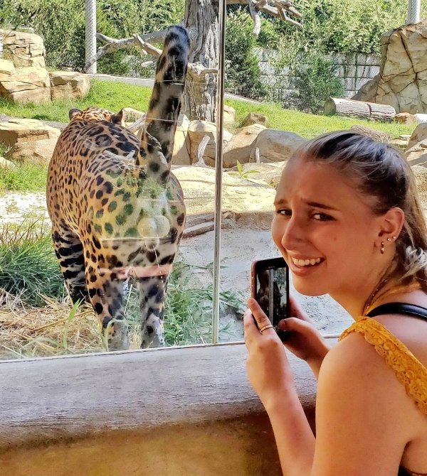 woman takes a pic of an animals butt at the zoo