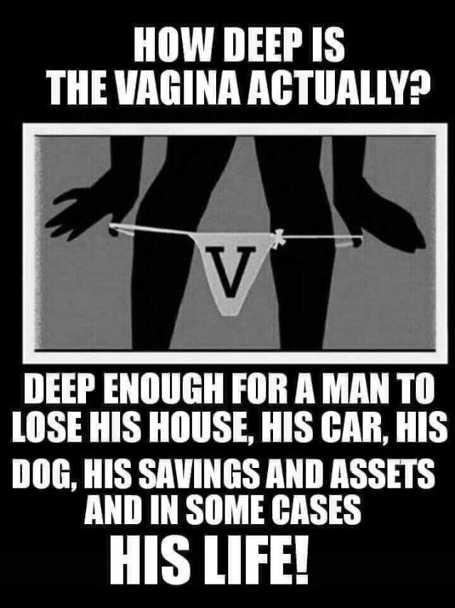 vagina style memes - How Deep Is The Vagina Actually? Deep Enough For A Man To Lose His House, His Car, His Dog, His Savings And Assets And In Some Cases His Life!