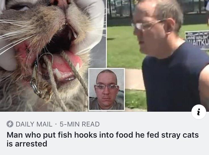 facial expression - Daily Mail. 5Min Read Man who put fish hooks into food he fed stray cats is arrested