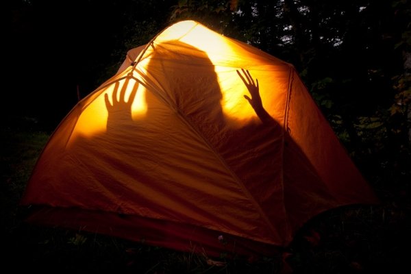 wtf pics -scary camping