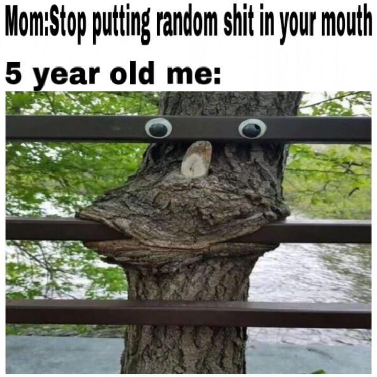 funny tree - MomStop putting random shit in your mouth 5 year old me