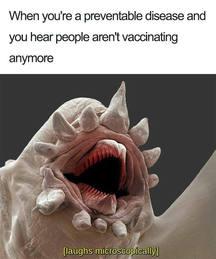 laughs microscopically - When you're a preventable disease and you hear people aren't vaccinating anymore laughs microscopically