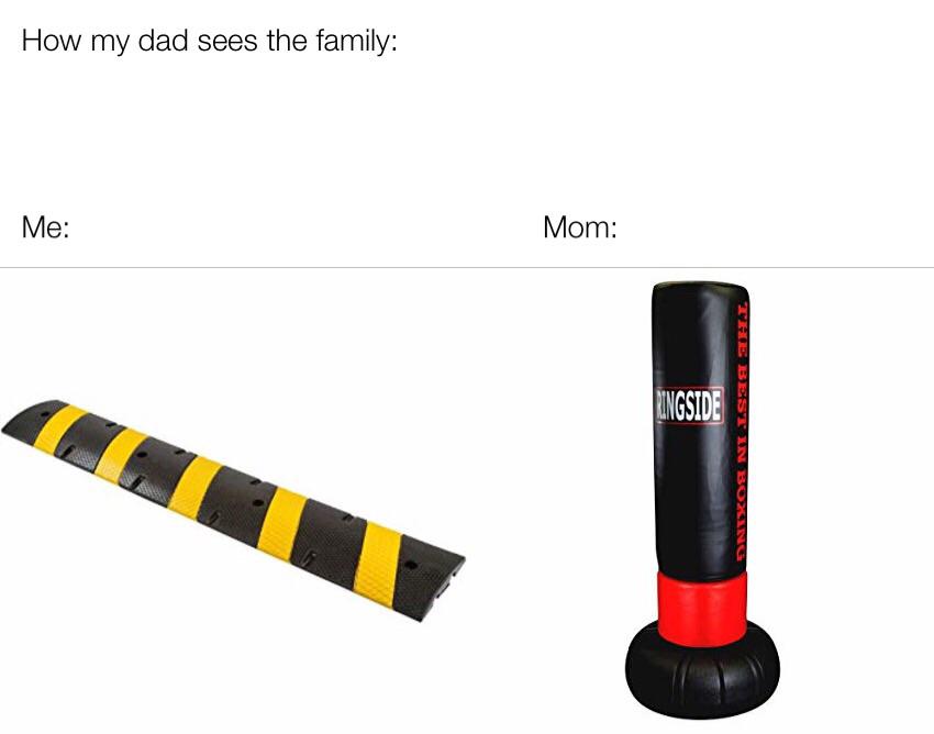 Punching bag - How my dad sees the family Me Mom The Best In Boxing