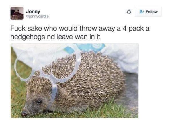 scottish twitter best - Jonny Fuck sake who would throw away a 4 pack a hedgehogs nd leave wan in it