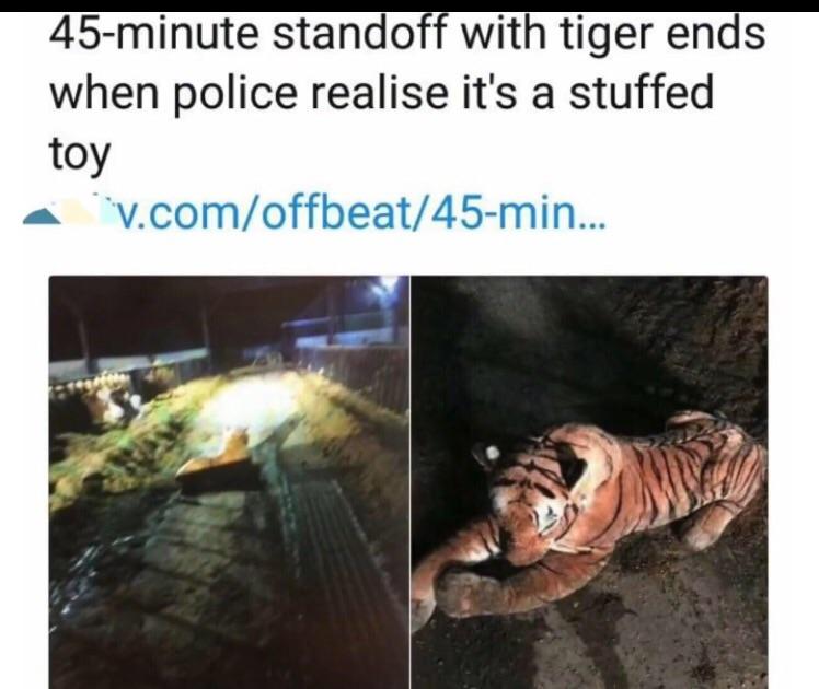 my life my rules quotes - 45minute standoff with tiger ends when police realise it's a stuffed toy v.comoffbeat45min...