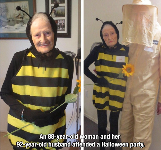 grandma bee costume - An 88yearold woman and her 92yearold husband attended a Halloween party.