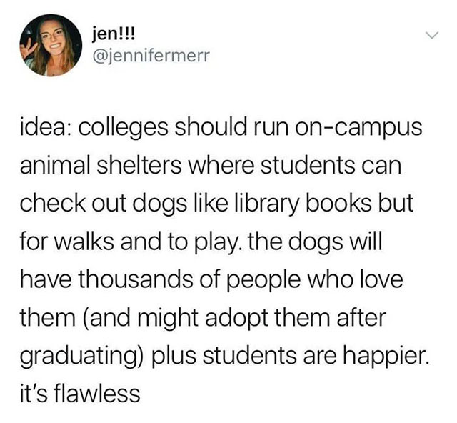 duolingo memes - jen!!! idea colleges should run oncampus animal shelters where students can check out dogs library books but for walks and to play. the dogs will have thousands of people who love them and might adopt them after graduating plus students a