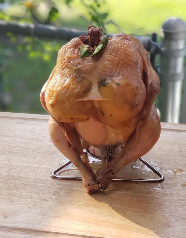 sexy looking chicken