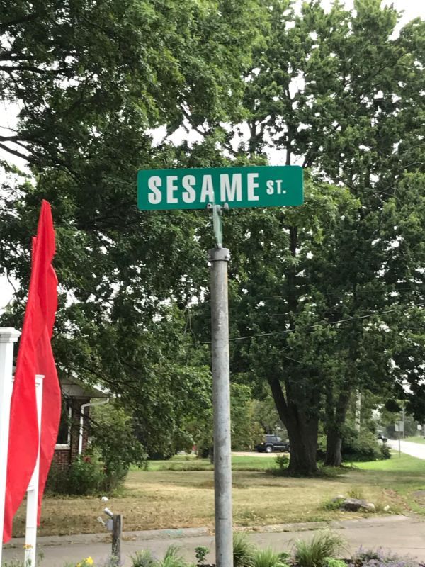 tree - Sesame St.