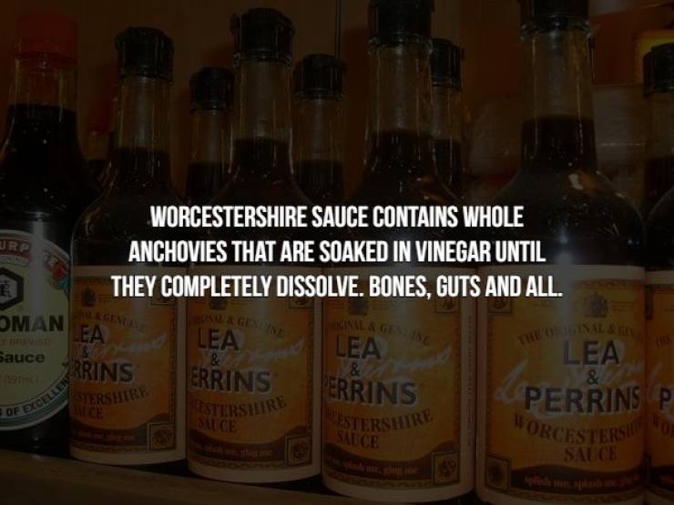 liqueur - Urp Worcestershire Sauce Contains Whole Anchovies That Are Soaked In Vinegar Until They Completely Dissolve. Bones, Guts And All. Oman Ea Lea Sauce Lea Rrins Errins Perrins P Estershire Westershire Worcesters Sauce Nl & Nes Lea Errins Estershire