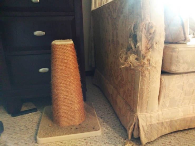 unused scratching post next to scratched-up couch