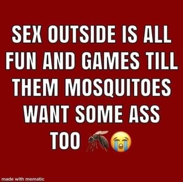 banner - Sex Outside Is All Fun And Games Till Them Mosquitoes Want Some Ass Too made with mematic